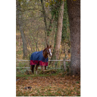 Equithème Tyrex 1200 D deken