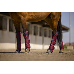 Transportbeschermers Equithème Tyrex 1200 D Bordeaux