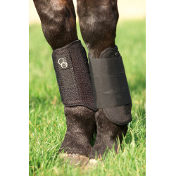 Peesschermers Norton 1680D