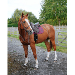 Tapijt GEM Ten Rozijn Tapijt GEM Ten Rozijn