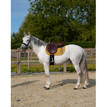 Tapijt GEM Ten Kruid Tapijt GEM Ten Kruid