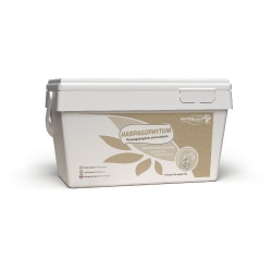 Harpagophytum puur semouletten Horse Master