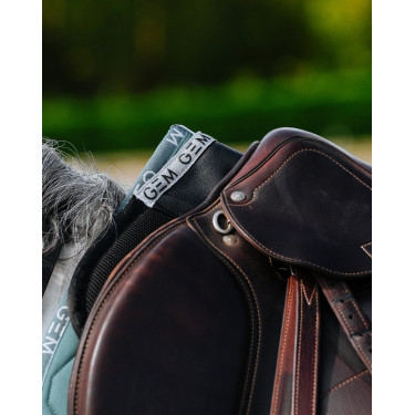 GEM Oscar schokdemper Zwart / zilver