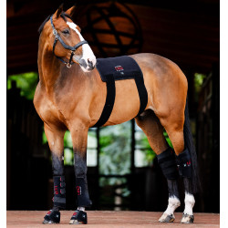 Horseware therapeutische peesbeschermers met rood LED-licht Zwart / zwart