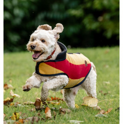 Horseware Newmarket fleecedeken voor hond Witgoud