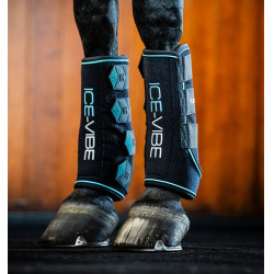 Horseware Ice-Vibe peesbeschermers Zwart / aqua Horseware Ice-Vibe peesbeschermers Zwart / aqua
