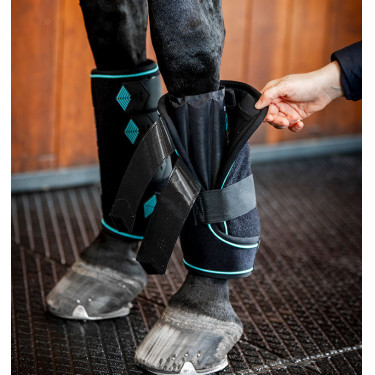 Horseware Ice-Vibe peesbeschermers Zwart / aqua Horseware Ice-Vibe peesbeschermers Zwart / aqua
