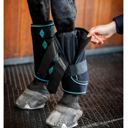 Horseware Ice-Vibe peesbeschermers Zwart / aqua