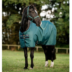 Horseware Amigo Ripstop 900D Turnout 100g deken Groen dynastie / marine / zilver Horseware Amigo Ripstop 900D Turnout 100g deken Groen dynastie / marine / zilver
