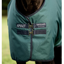 Horseware Amigo Ripstop 900D Turnout 100g deken Groen dynastie / marine / zilver Horseware Amigo Ripstop 900D Turnout 100g deken Groen dynastie / marine / zilver