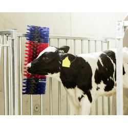 Kerbl muurborstel Kerbl muurborstel