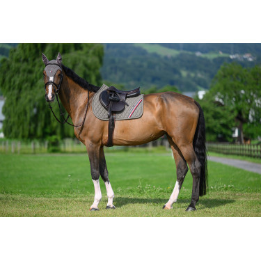 CSO-zadelpad Tommy Hilfiger Equestrian Stanford As Marineblauw