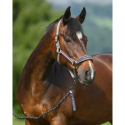 Halster en halstertouw Tommy Hilfiger Equestrian Yale As Marineblauw