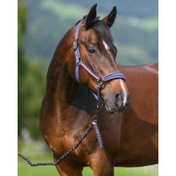 Halster en halstertouw Tommy Hilfiger Equestrian Yale Verbleekt indigo Blauw