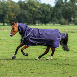 Bucas Atlantic Exclusive 150g deken met halsstuk Marine / blauw