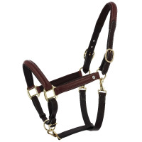 Norton Spring geoliede lederen poetsen halster Havana Bruin