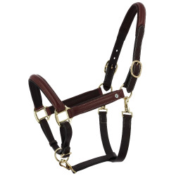 Norton Spring geoliede lederen poetsen halster Havana Bruin Norton Spring geoliede lederen poetsen halster Havana Bruin