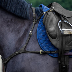 Anatomische Jachtborsttuig Dy'on D Collection Zwart