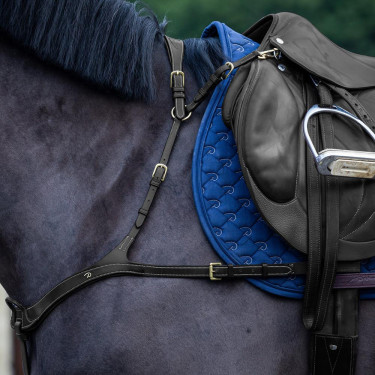 Anatomische Jachtborsttuig Dy'on D Collection Zwart