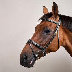 Bridon Combiné Neusriem Dy'on D Collection Zwart Bridon Combiné Neusriem Dy'on D Collection Zwart