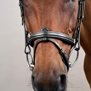 Bridon Combiné Neusriem Dy'on D Collection Zwart Bridon Combiné Neusriem Dy'on D Collection Zwart