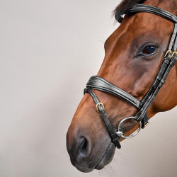 Bridon Combiné Anatomisch Dy'on D Collectie Bridon Combiné Anatomisch Dy'on D Collectie