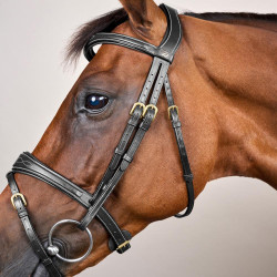 Bridon Combiné Anatomisch Dy'on D Collectie Bridon Combiné Anatomisch Dy'on D Collectie