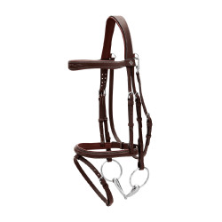 Hoofdstel Neusriem Gecombineerd Met Musketon Dy'on Working Bruin Hoofdstel Neusriem Gecombineerd Met Musketon Dy'on Working Bruin