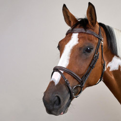 Hoofdstel Neusriem Gecombineerd Met Musketon Dy'on Working Bruin Hoofdstel Neusriem Gecombineerd Met Musketon Dy'on Working Bruin