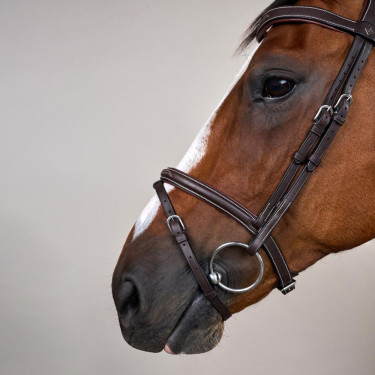 Hoofdstel Neusriem Gecombineerd Met Musketon Dy'on Working Bruin Hoofdstel Neusriem Gecombineerd Met Musketon Dy'on Working Bruin