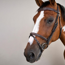 Hoofdstel Neusriem Gecombineerd Met Musketon Dy'on Working Bruin Hoofdstel Neusriem Gecombineerd Met Musketon Dy'on Working Bruin