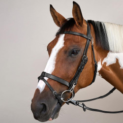 Plat Lederen Hulpteugel Met Musketons Working by Dy'on Zwart