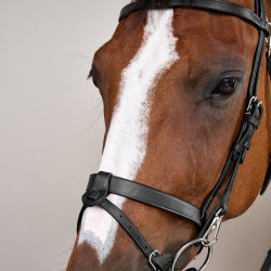 Plat Lederen Hulpteugel Met Musketons Working by Dy'on Zwart