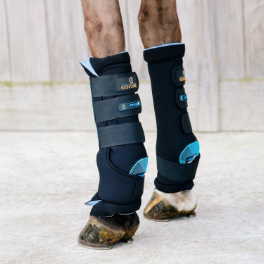 Rustbandages Magnetisch Recuptex Kentucky