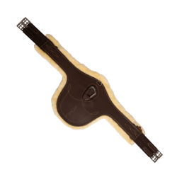 Singelstaartriem schaap Kentucky Bruin