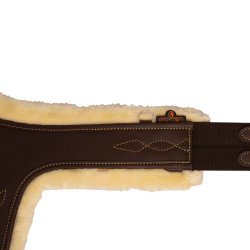 Singelstaartriem schaap Kentucky Bruin