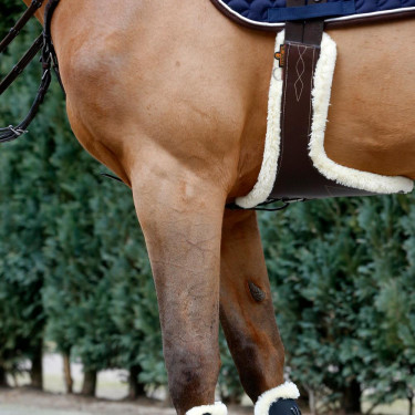 Singelstaartriem schaap Kentucky Bruin