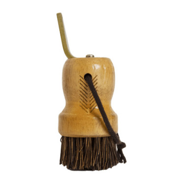 Kleine hoevenkrabber Kentucky Bruin