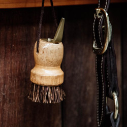 Kleine hoevenkrabber Kentucky Bruin Kleine hoevenkrabber Kentucky Bruin