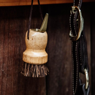 Kleine hoevenkrabber Kentucky Bruin Kleine hoevenkrabber Kentucky Bruin