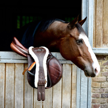 Afneembare schapenvacht voor Anatomische Singel Kentucky Bruin