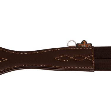 Anatomische Singel Kentucky Bruin