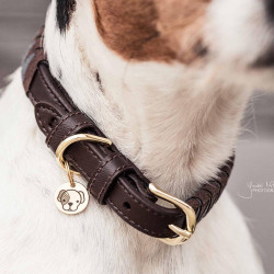 Halsband voor hond Driehoek Kentucky Bruin
