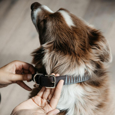 Halsband voor hond Driehoek Kentucky Bruin