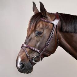 Bridon Différence New English Collection van Dy'on Bruin Bridon Différence New English Collection van Dy'on Bruin