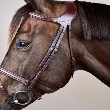 Bridon Différence New English Collection van Dy'on Bruin Bridon Différence New English Collection van Dy'on Bruin