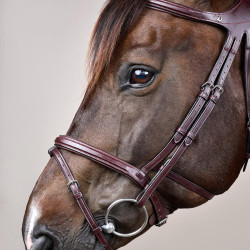 Bridon Différence New English Collection van Dy'on Bruin Bridon Différence New English Collection van Dy'on Bruin