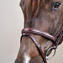 Bridon Différence New English Collection van Dy'on Bruin Bridon Différence New English Collection van Dy'on Bruin