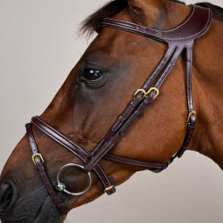 Hoofdstel Différence D Collectie van Dy'on Bruin