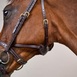 Hoofdstel Différence D Collectie van Dy'on Bruin